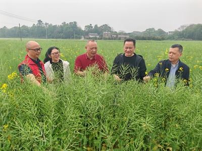 &ldquo;春華&rdquo;變&ldquo;秋實(shí)&rdquo;全州縣4.75萬畝稻油輪作實(shí)現(xiàn)&ldquo;一地三收&rdquo;