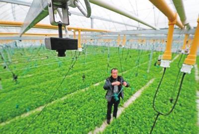 農(nóng)業(yè)科技報(bào)-內(nèi)容詳細(xì)