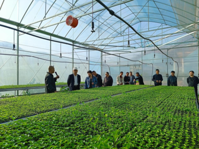 東川區現代農業產業園建成投入運行，賦能農業科技服務新篇章