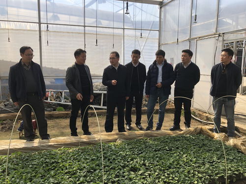 四川省農(nóng)業(yè)科學院牟錦毅院長赴西昌市與米易縣調(diào)研 深化科技幫扶助力鄉(xiāng)村振興